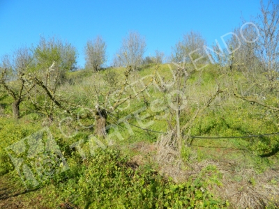 Las Madalenas - Vista general desde el Sur