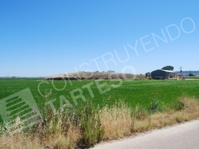 Imagen del túmulo antes de las intervenciones arqueológicas