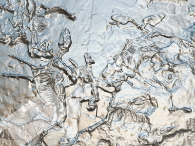 Documentación a través de escaner láser