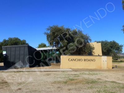 Centro de interpretación del yacimiento